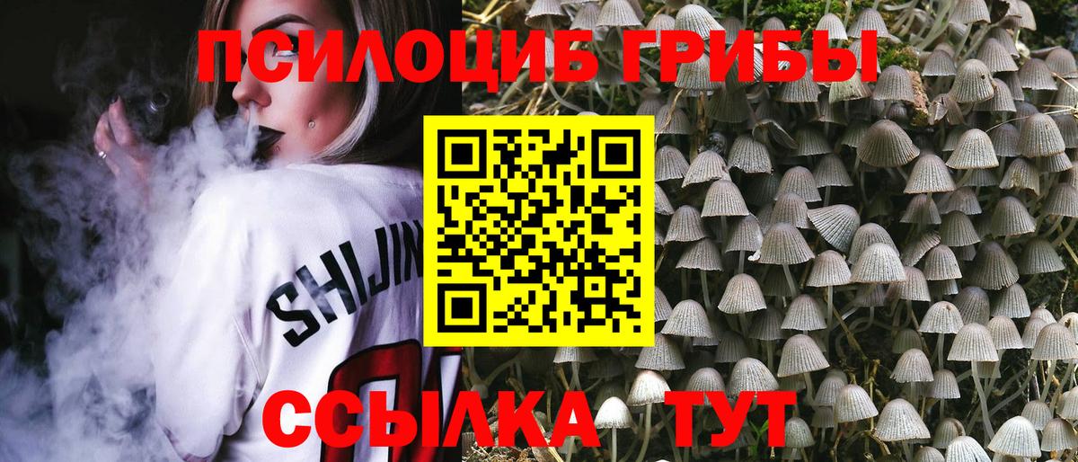 Псилоцибиновые грибы прущие грибы  Галлюциногенные грибы ЛСД  Вход с VPN  Апшеронск 